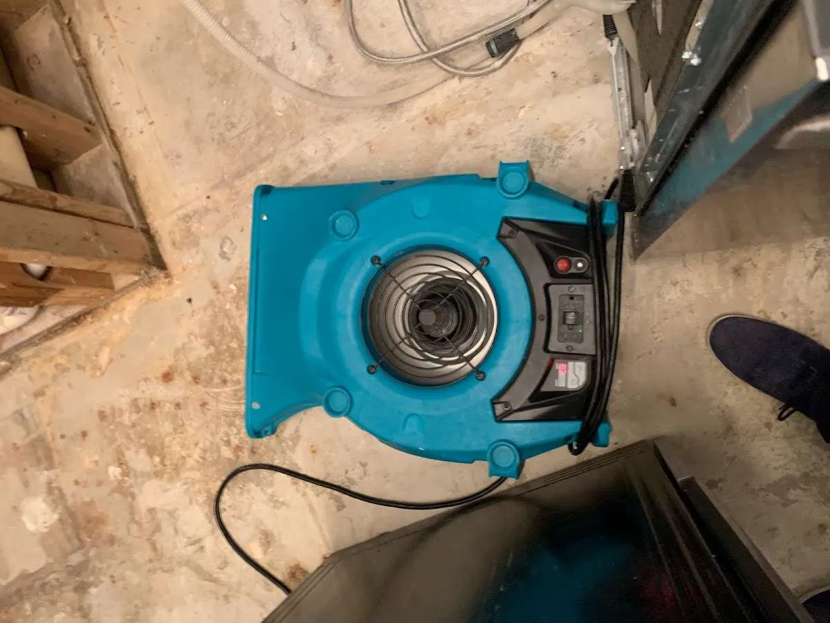 Air mover drying equipment for Mold Remediation & Removal in Livingston