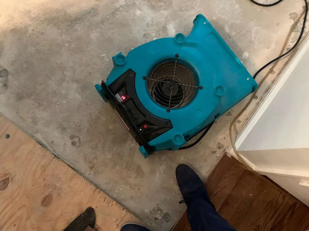 Air mover drying subfloor during Leak Detection & Repair in Livingston